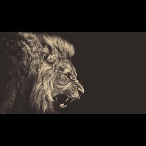 Meet your Posher, Cam